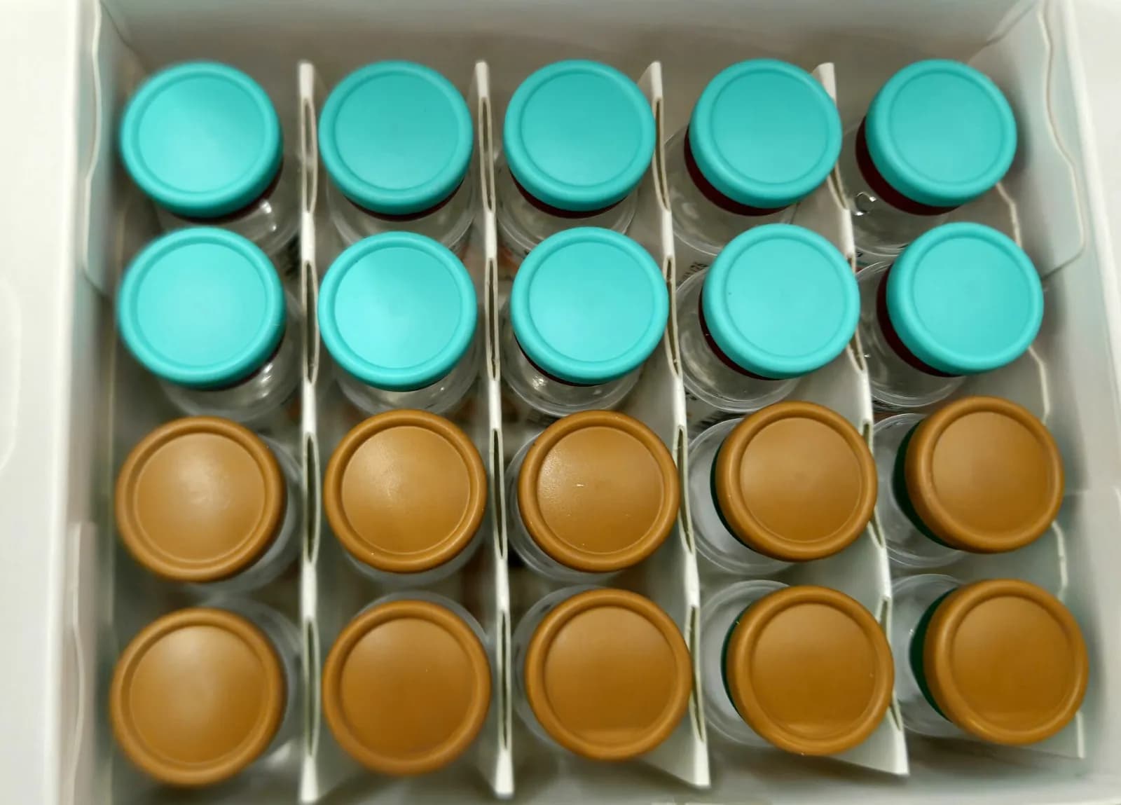Capped medicine vials in their carton, 2024. Object photograph; not a cosmetic product.